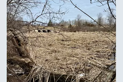 Tbd Basswood Drive, Sauk Centre Township, MN 56378 - Photo 9