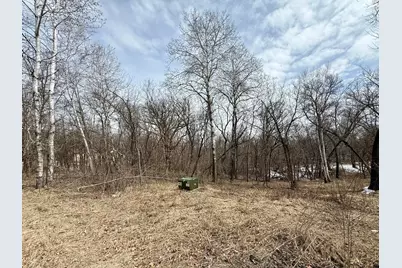 Tbd Basswood Drive, Sauk Centre Township, MN 56378 - Photo 11