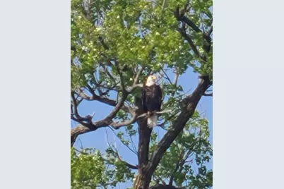 43094 E Big McDonald Drive, Dent, MN 56528 - Photo 53