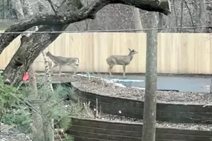 14759 McGinty Rd W, Minnetonka, MN 55391 - Photo 69