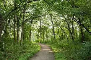 14759 McGinty Rd W, Minnetonka, MN 55391 - Photo 81