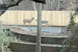 14759 McGinty Rd W, Minnetonka, MN 55391 - Photo 67