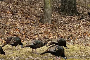 14759 McGinty Rd W, Minnetonka, MN 55391 - Photo 67