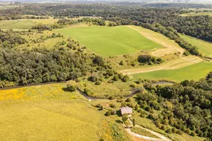 Tbd-C County 8, Spring Grove, MN 55954 - Photo 49