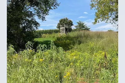 Tbd-C County 8, Spring Grove, MN 55954 - Photo 27