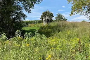 Tbd-C County 8, Spring Grove, MN 55954 - Photo 27