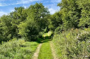 Tbd-C County 8, Spring Grove, MN 55954 - Photo 37