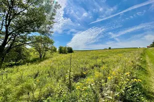 Tbd-C County 8, Spring Grove, MN 55954 - Photo 51