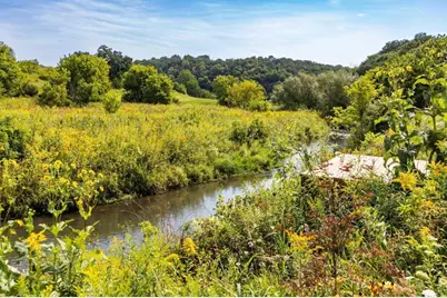 Tbd-C County 8, Spring Grove, MN 55954 - Photo 23