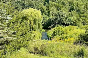 Tbd-C County 8, Spring Grove, MN 55954 - Photo 39