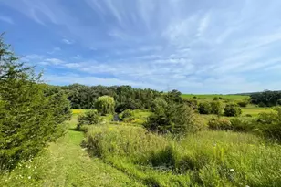 Tbd-C County 8, Spring Grove, MN 55954 - Photo 53