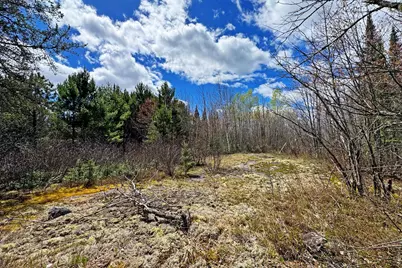 4268 Crane Lake Road, Orr, MN 55771 - Photo 37