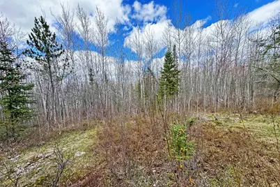 4268 Crane Lake Road, Orr, MN 55771 - Photo 21