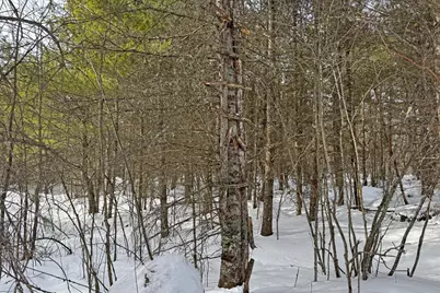 4268 Crane Lake Road, Orr, MN 55771 - Photo 27