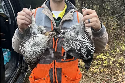 4268 Crane Lake Road, Orr, MN 55771 - Photo 43