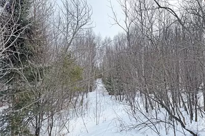 4268 Crane Lake Road, Orr, MN 55771 - Photo 21