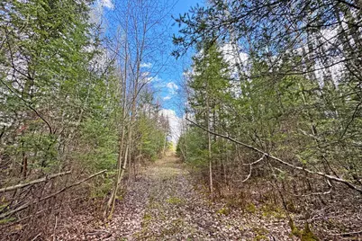 4268 Crane Lake Road, Orr, MN 55771 - Photo 17