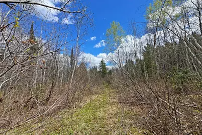4268 Crane Lake Road, Orr, MN 55771 - Photo 23