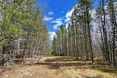 4268 Crane Lake Road, Orr, MN 55771 - Photo 15