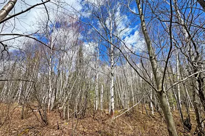 4268 Crane Lake Road, Orr, MN 55771 - Photo 39