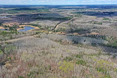 4268 Crane Lake Road, Orr, MN 55771 - Photo 9