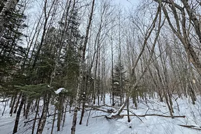 4268 Crane Lake Road, Orr, MN 55771 - Photo 35