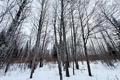 4268 Crane Lake Road, Orr, MN 55771 - Photo 37