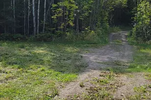 1697 Town Rd 112, Baudette, MN 56623 - Photo 23