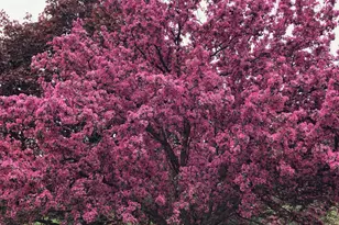 1550 Oldridge Ave N, Stillwater, MN 55082 - Photo 69