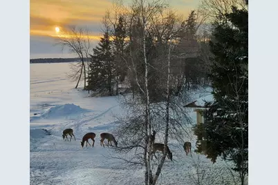 33685 N Cotton Lake Road, Rochert, MN 56578 - Photo 15