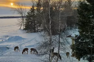 33685 N Cotton Lake Rd, Rochert, MN 56578 - Photo 15