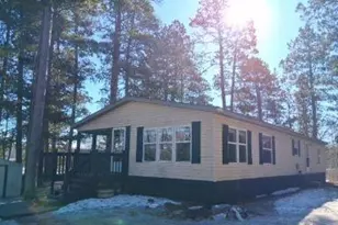 54432 Sandy River Dr, Leonard, MN 56652 - Photo 1