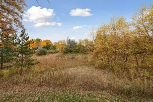 425 Carpenters Pt, Wayzata, MN 55391 - Photo 95