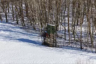 26750 230 St, Detroit Lakes, MN 56501 - Photo 79