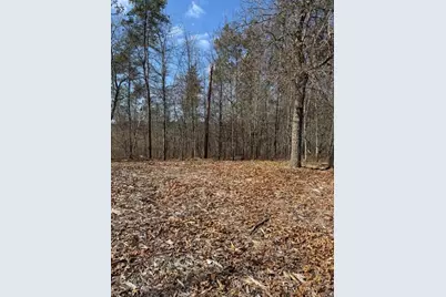 3713 Bay Drive, Webb Lake, WI 54830 - Photo 9