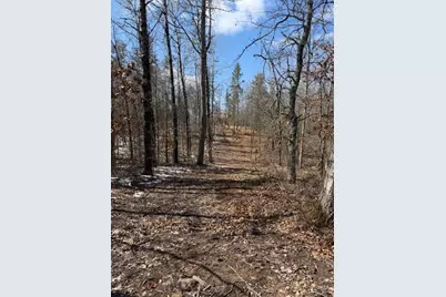 3713 Bay Drive, Webb Lake, WI 54830 - Photo 5