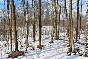 42810 Co Hwy 26, Rochert, MN 56578 - Photo 17