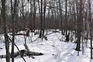 42810 Co Hwy 26, Rochert, MN 56578 - Photo 15