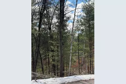 Tbd E Long Lake Road, Danbury, WI 54830 - Photo 5