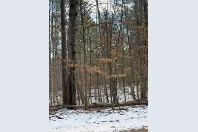 Tbd E Long Lake Road, Danbury, WI 54830 - Photo 3