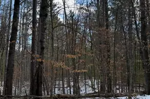 Tbd E Long Lake Rd, Danbury, WI 54830 - Photo 1