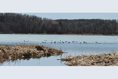 Tbd 513th Ave E, Tract E, Ottertail, MN 56571 - Photo 9