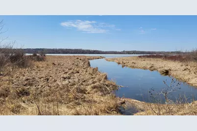 Tbd 513th Ave E, Tract E, Ottertail, MN 56571 - Photo 3