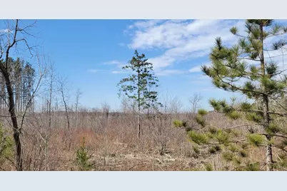 Tbd 513th Ave E, Tract E, Ottertail, MN 56571 - Photo 5