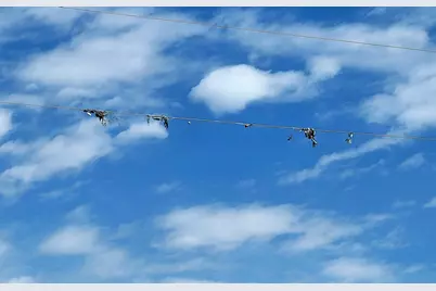 Tbd 513th Ave E, Tract E, Ottertail, MN 56571 - Photo 13