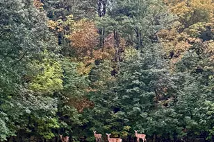 2250 Forest Shores Rd, Ogilvie, MN 56358 - Photo 71