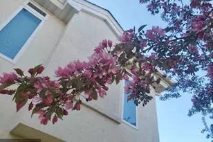 7808 Victoria Cir, Saint Louis Park, MN 55426 - Photo 15