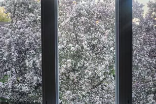 7808 Victoria Cir, Saint Louis Park, MN 55426 - Photo 17