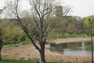 1401 Willow St, Minneapolis, MN 55403 - Photo 11