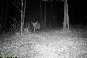 867 29th Ave, Barronett, WI 54813 - Photo 43